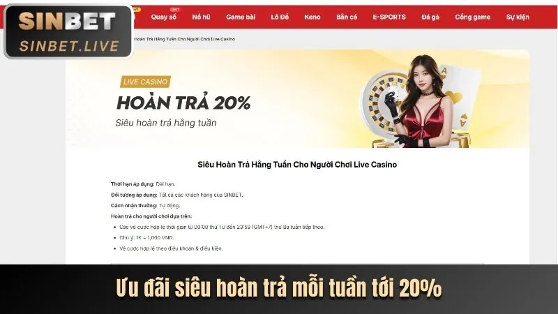 Cấp độ Vàng VIP 88vv casino